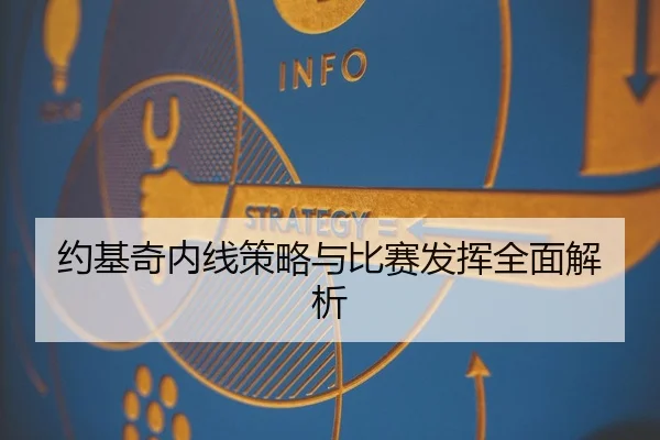 约基奇内线策略与比赛发挥全面解析
